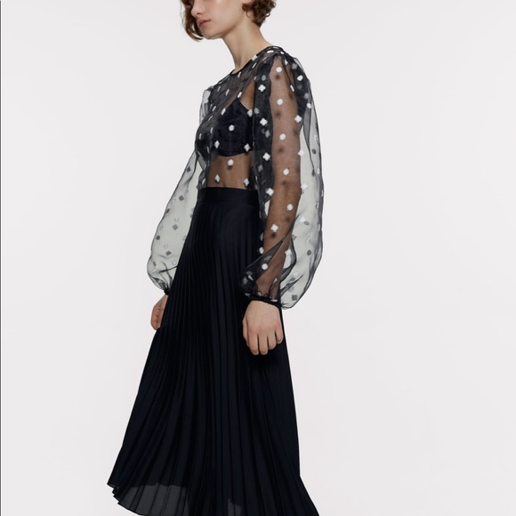 ZARA Embroidered Organza Top - Picture 3 of 7